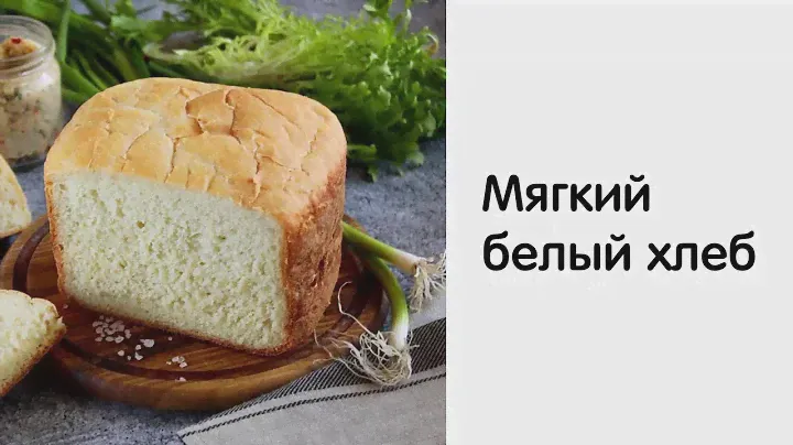 Хлебопечка Morphy Richards Premium Plus 502000