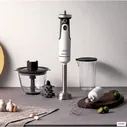 Погружной блендер Morphy Richards MR6006W белый
