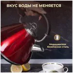 Чайник электрический Morphy Richards Accent Kettle MR7076A_CH вишневый-2
